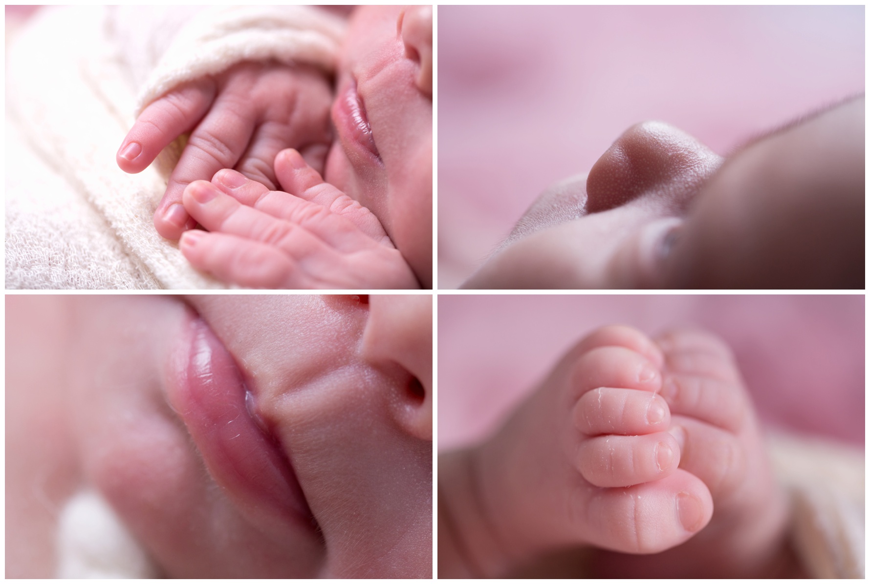 newborn photography details