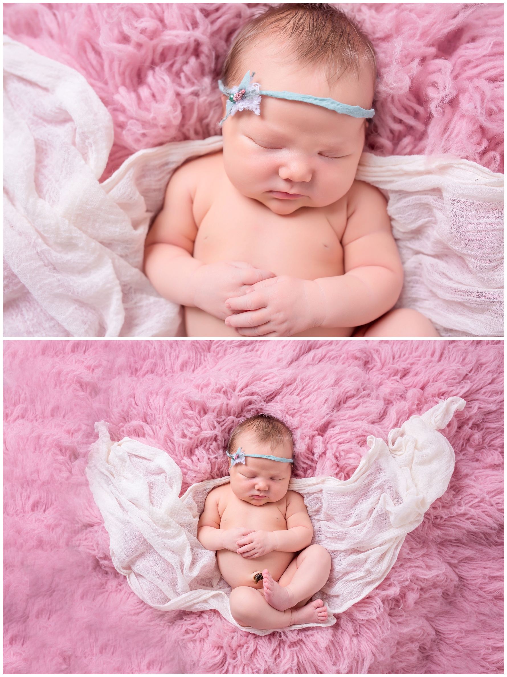 charlotte newborn photographer