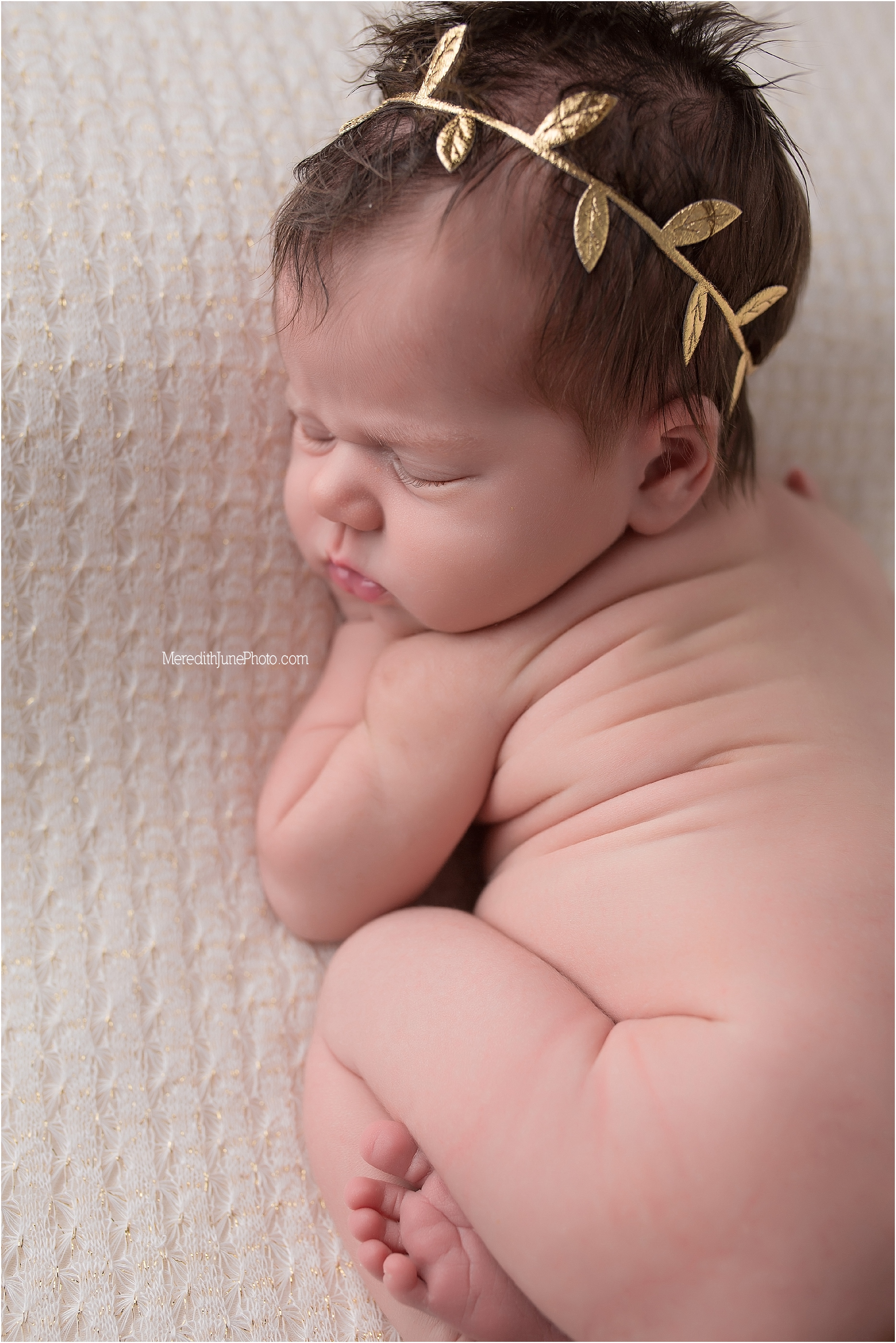 Charlotte newborn photography | pictures of babies