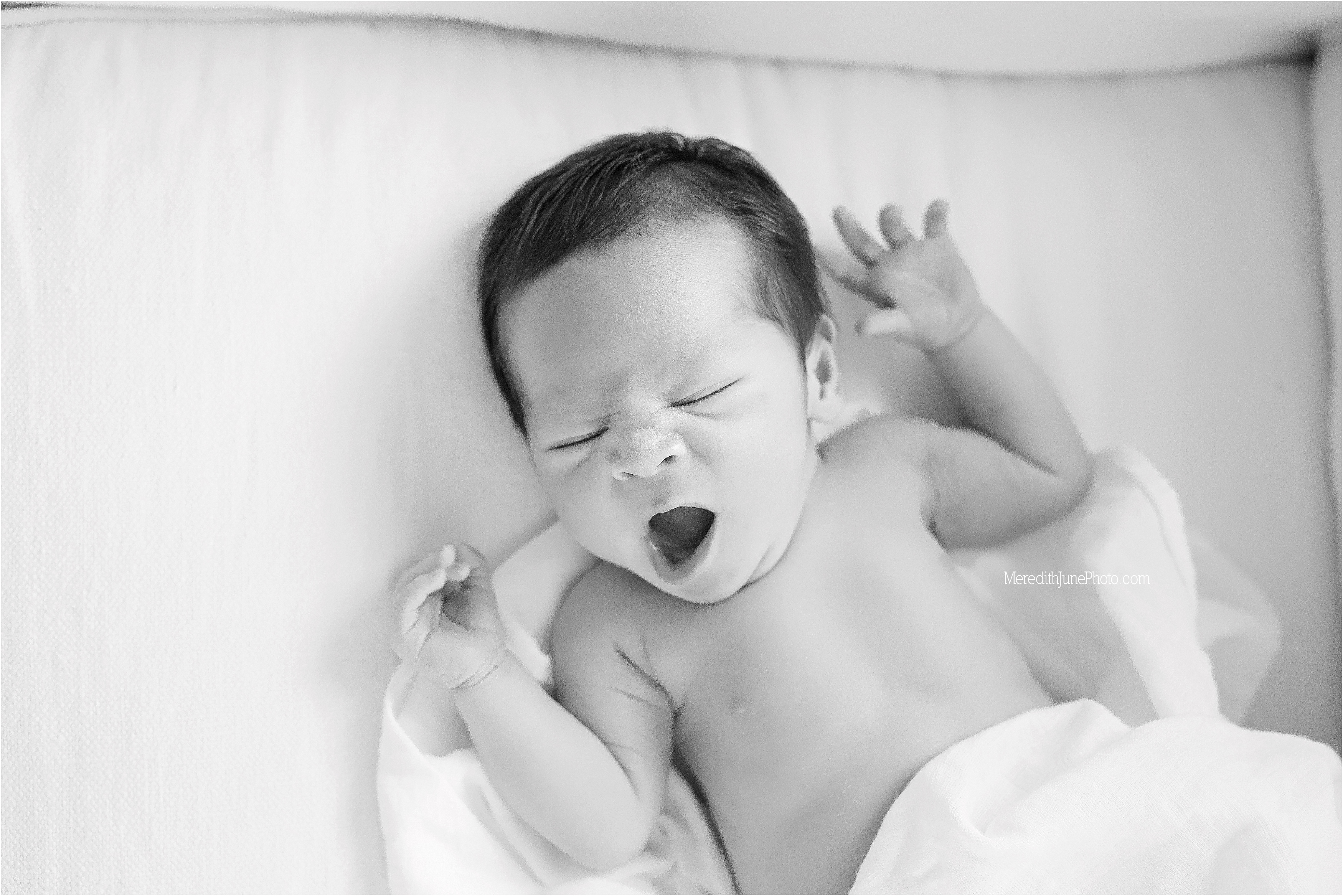 charlotte lifestyle photographer | newborn posing ideas