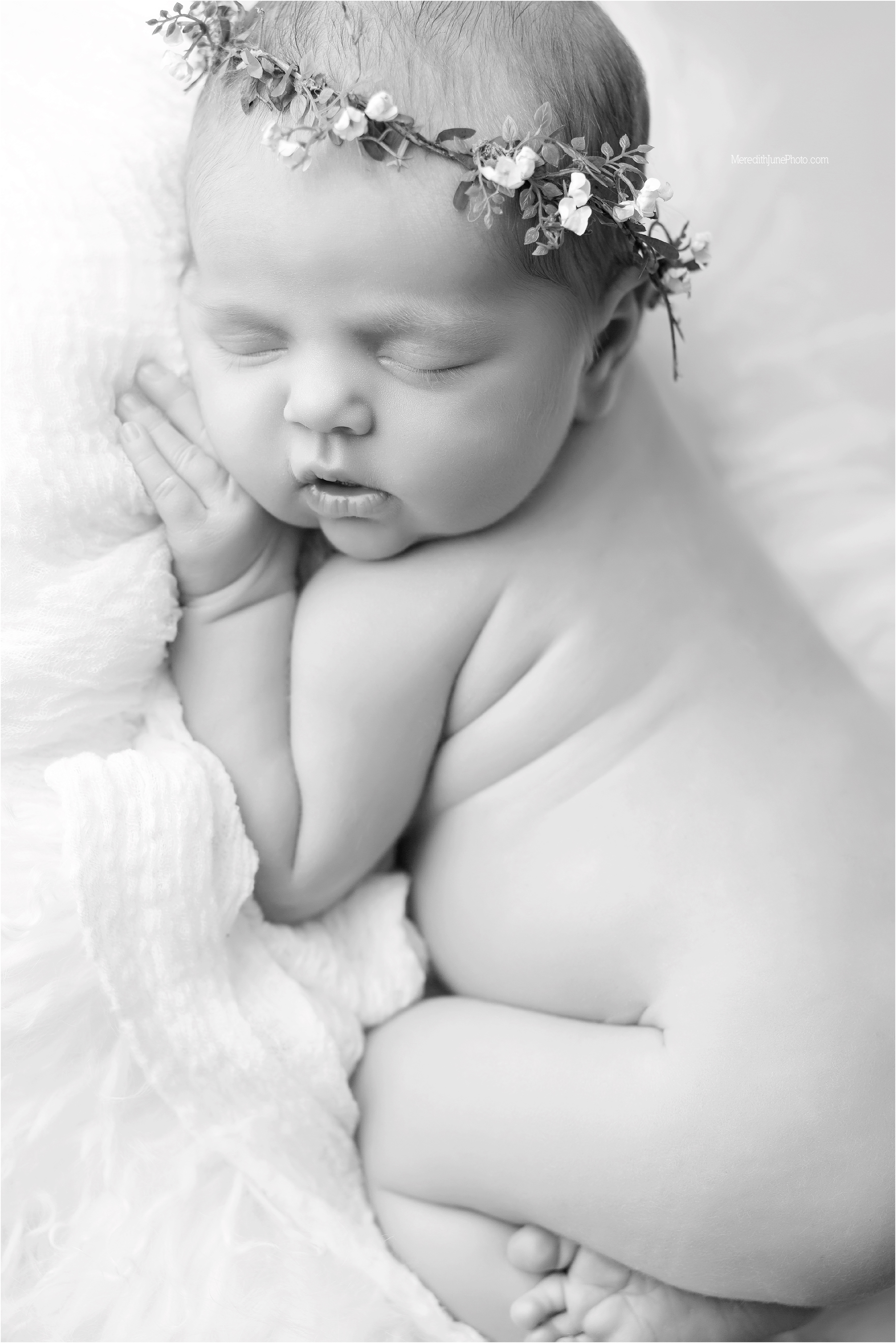 newborn baby girl photo session