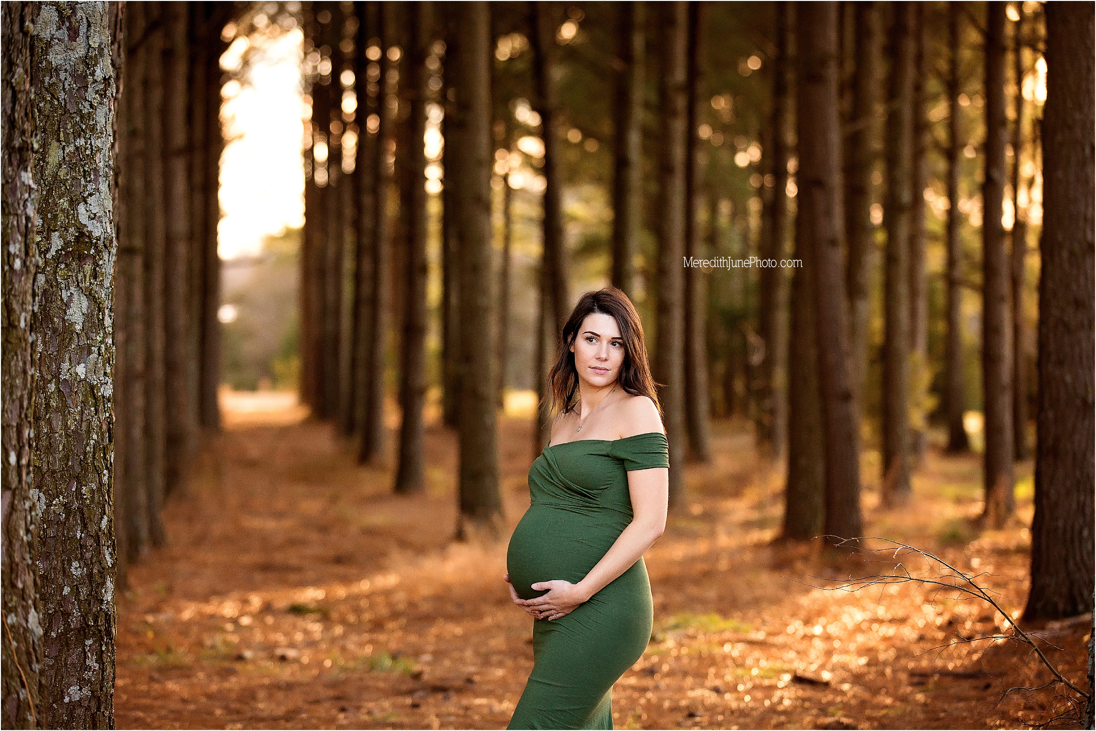 charlotte pregnancy photographer