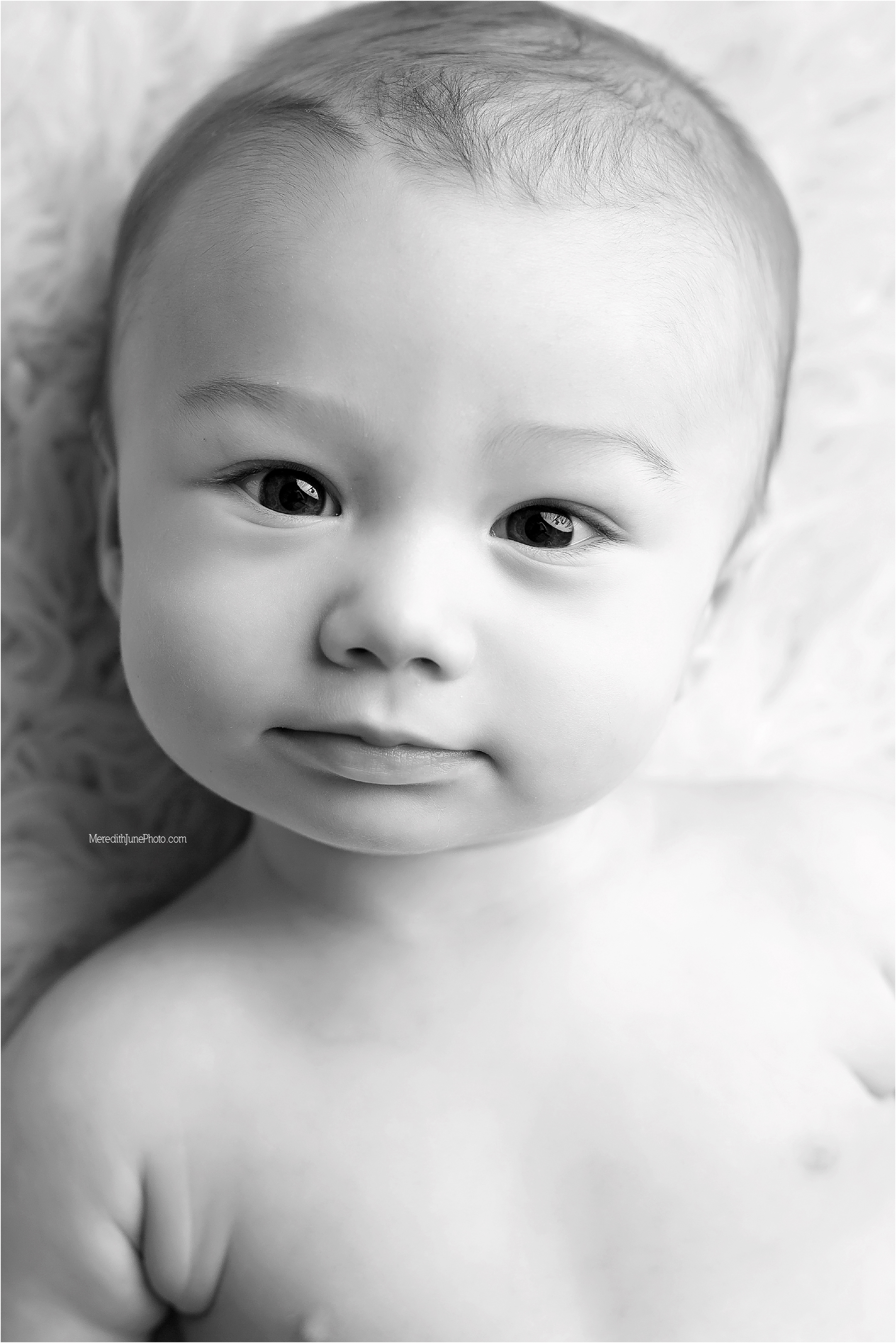 charlotte baby boy photography
