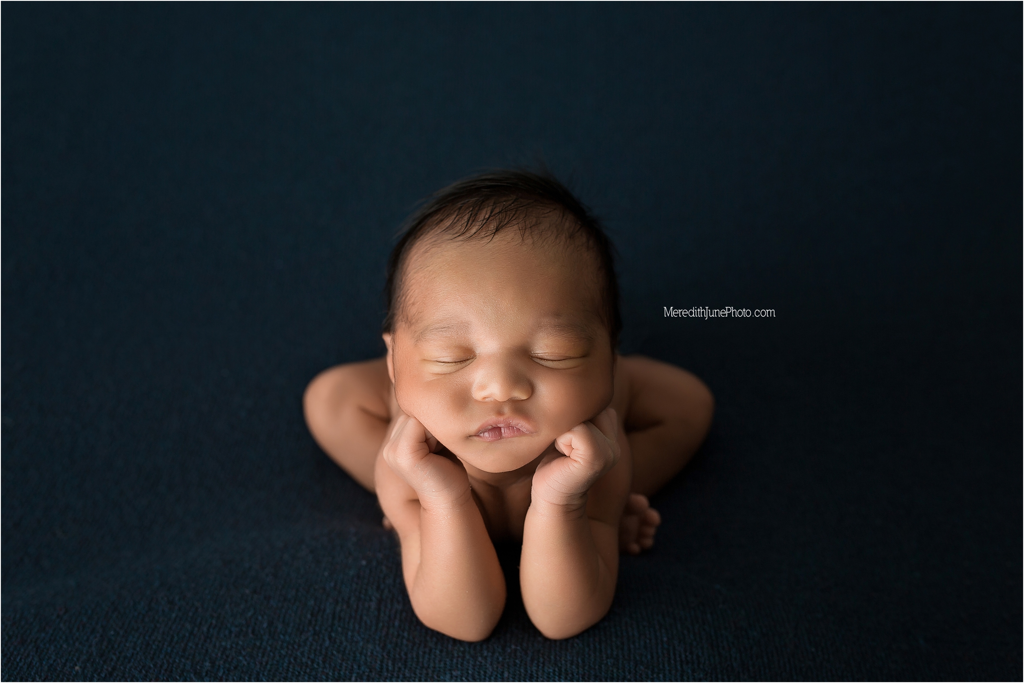 charlotte newborn photographer 