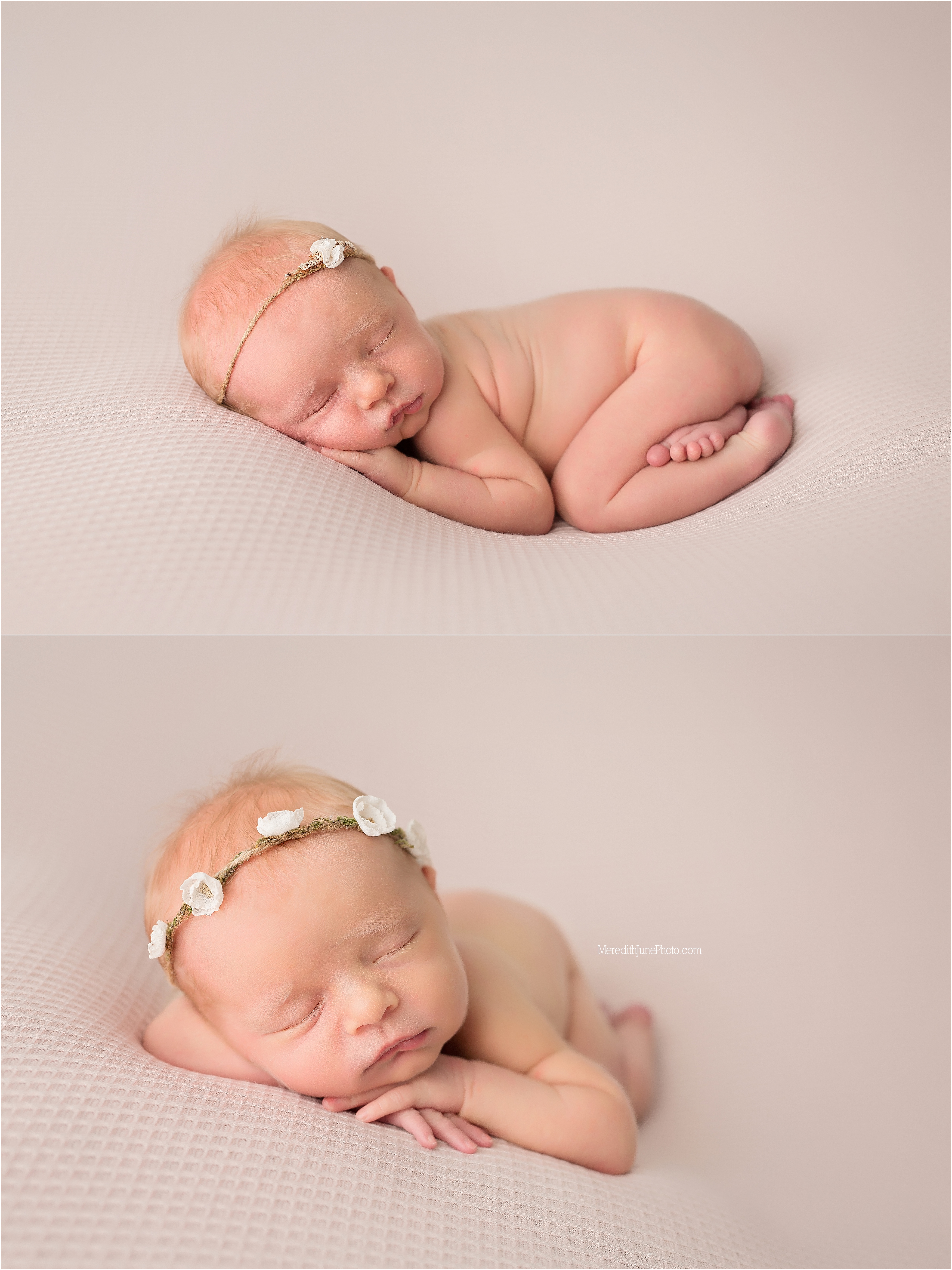 newborn baby girl mini session
