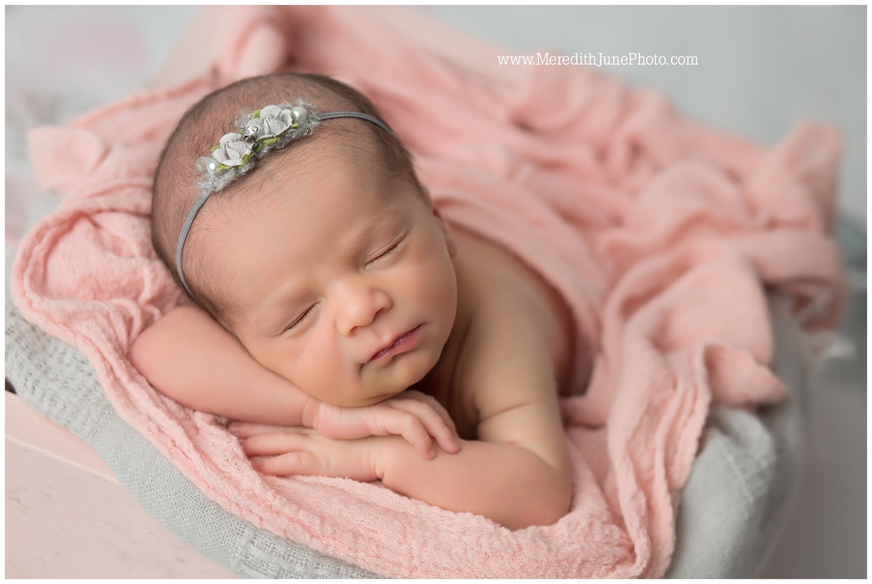 best charlotte newborn photographer 