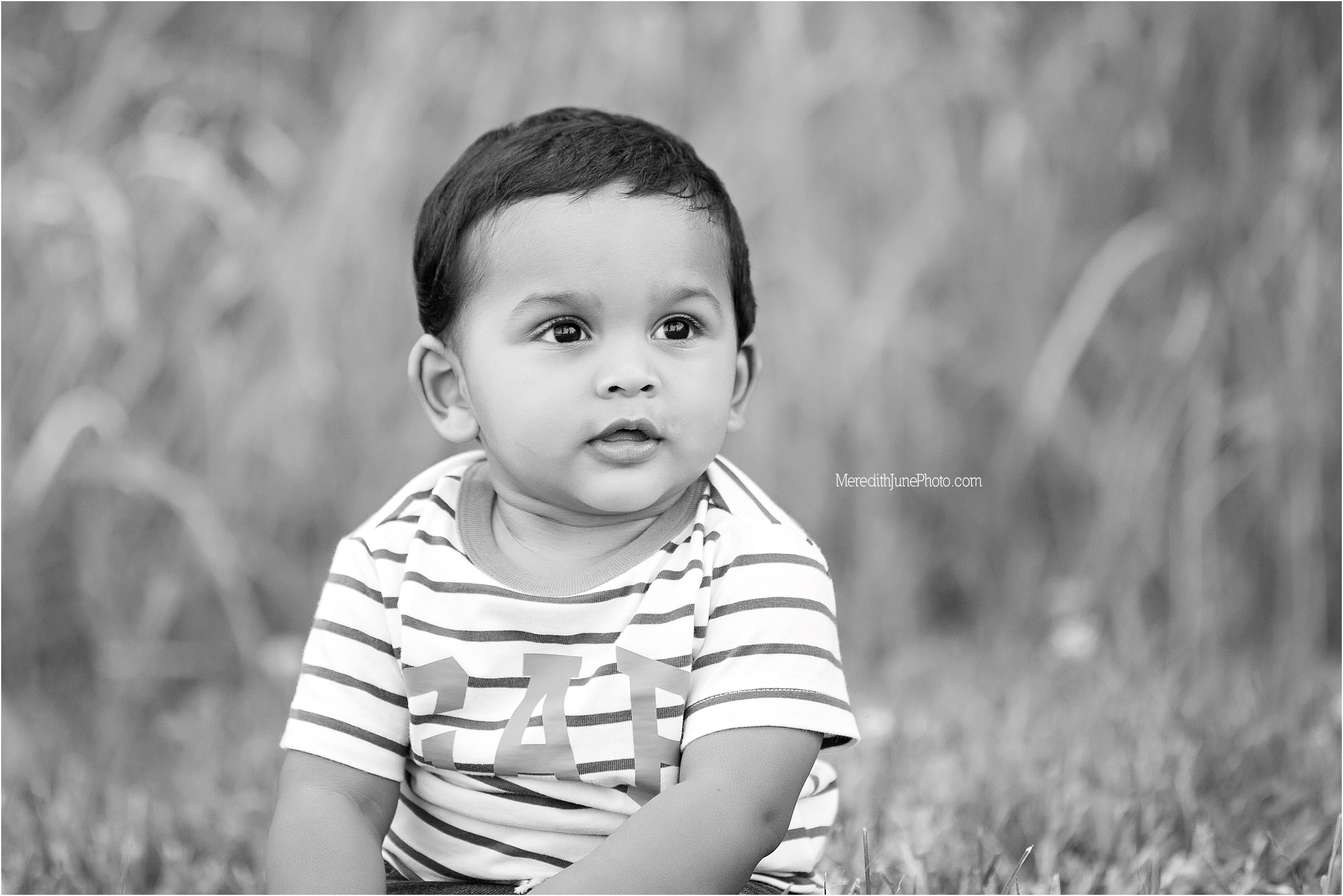 Baby boy outdoor one year session