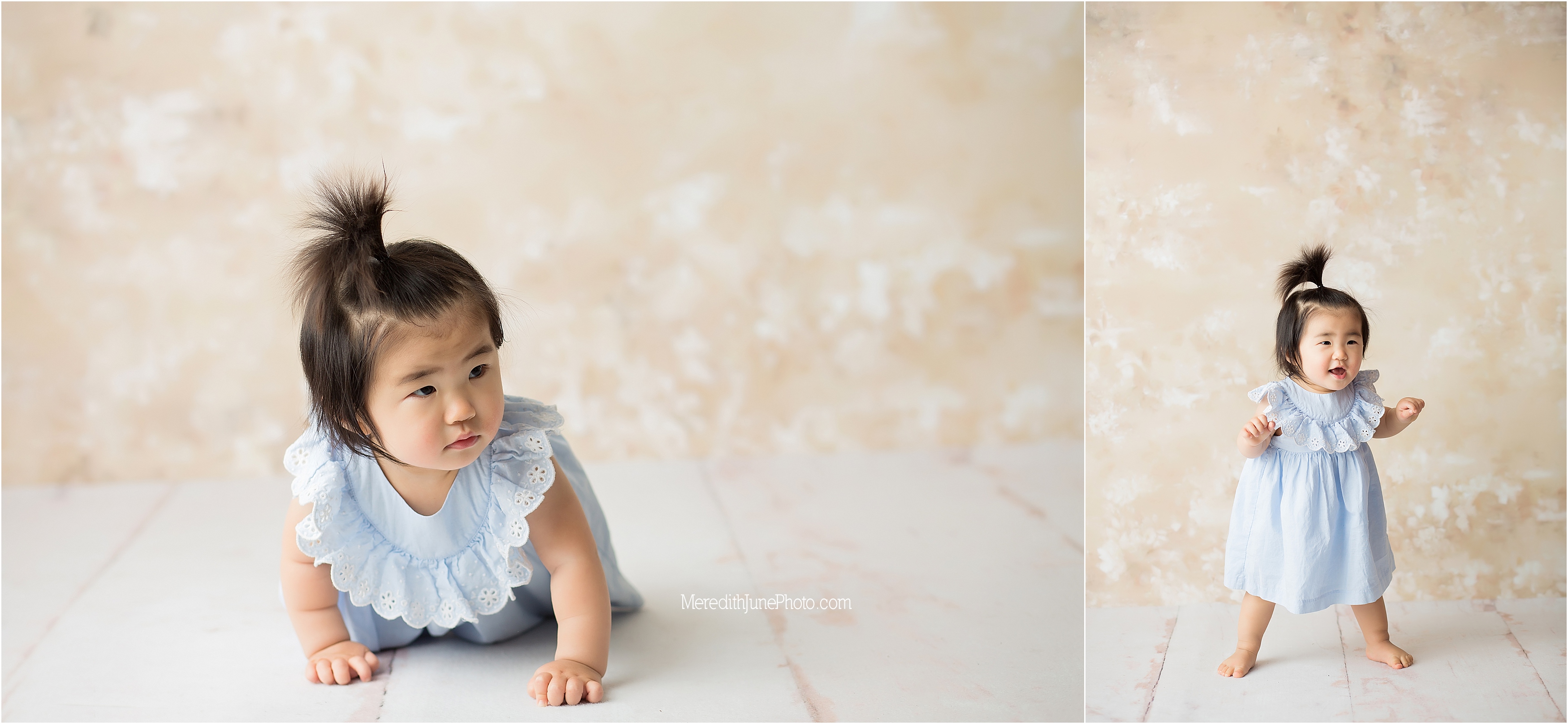 First birthday photo session
