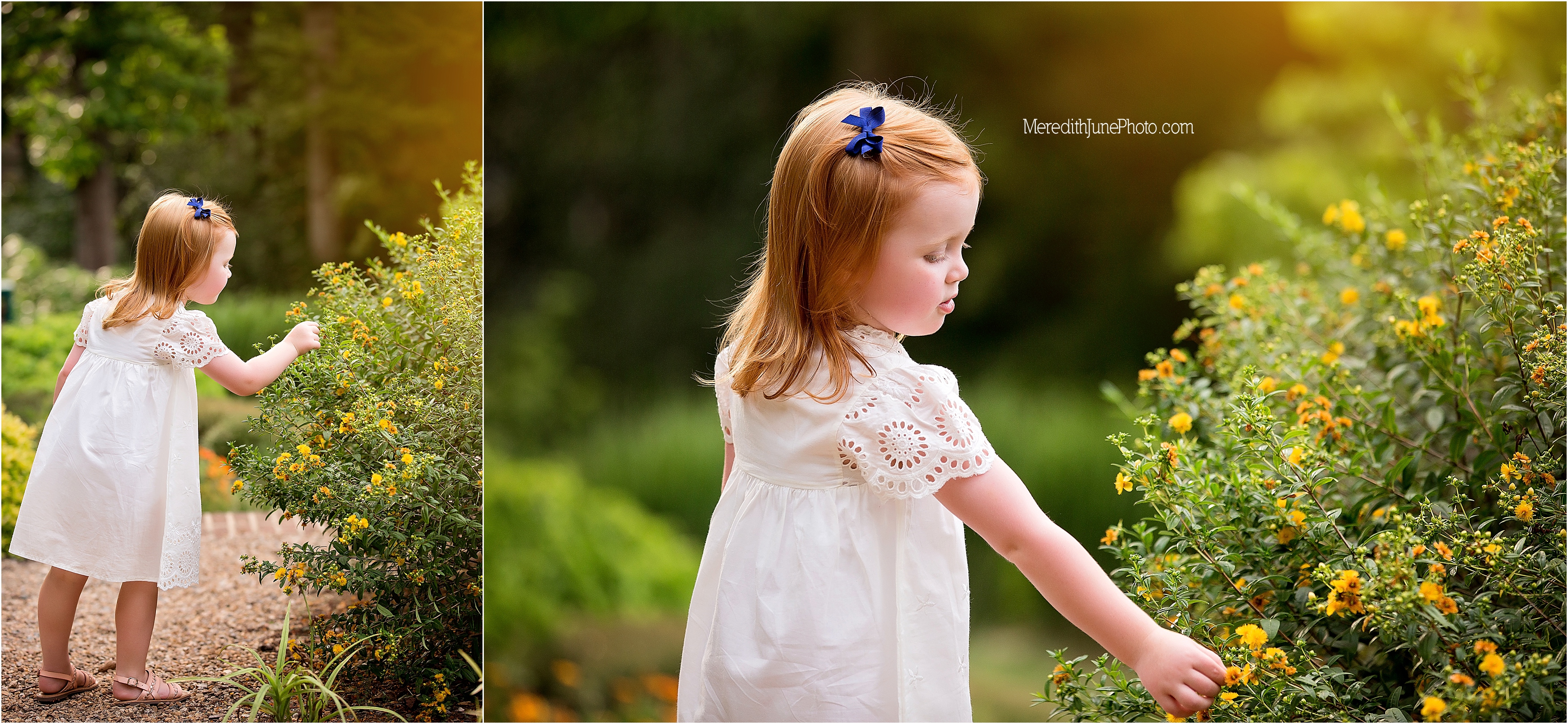 Older sibling shots during 1 year session