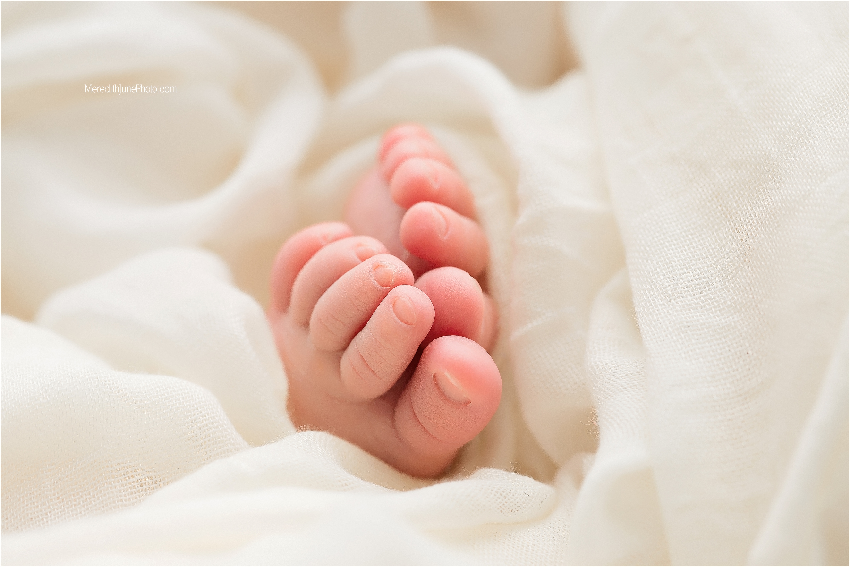 Detail shots during newborn session at Meredith June Photography