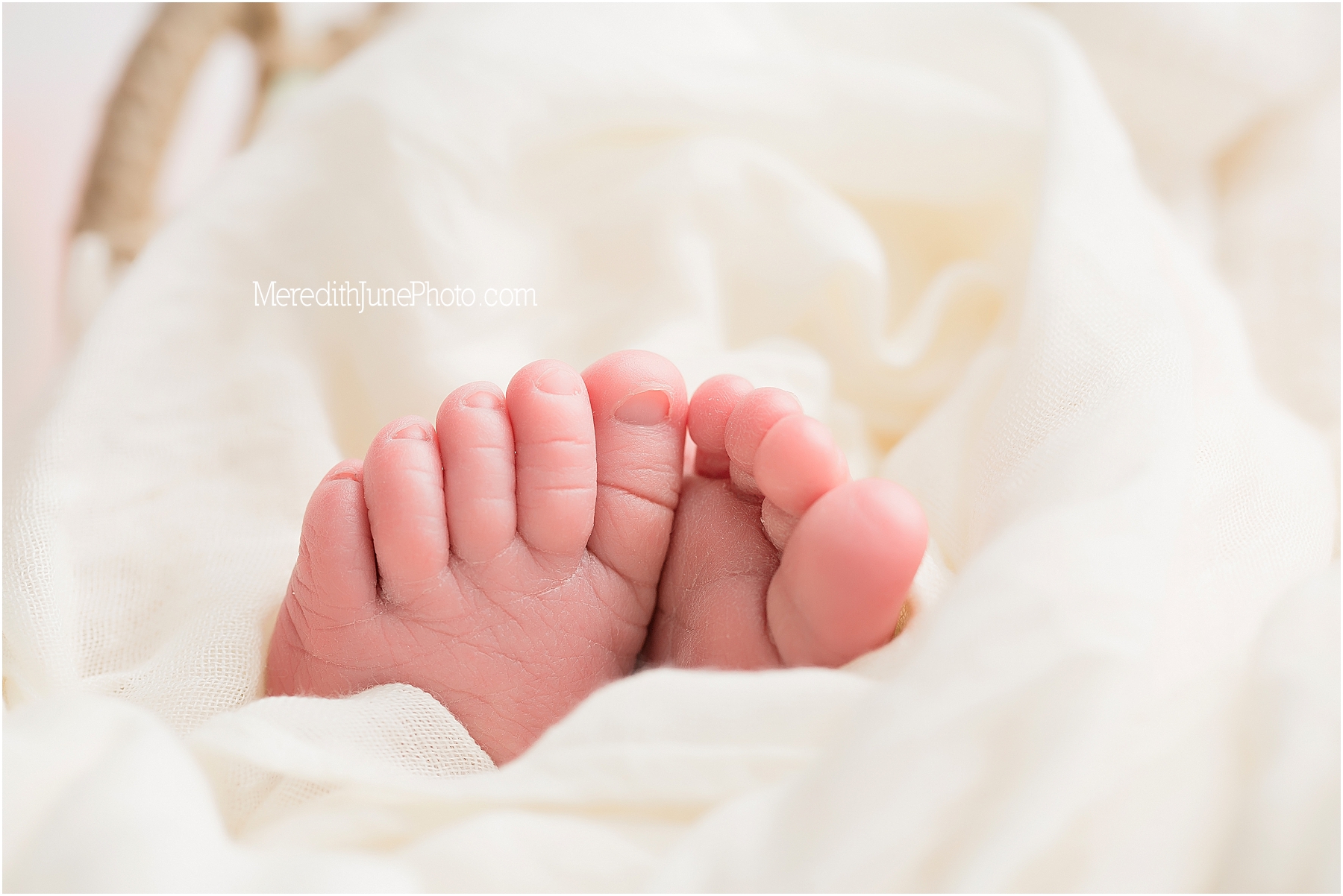 detail shots from newborn baby girl session