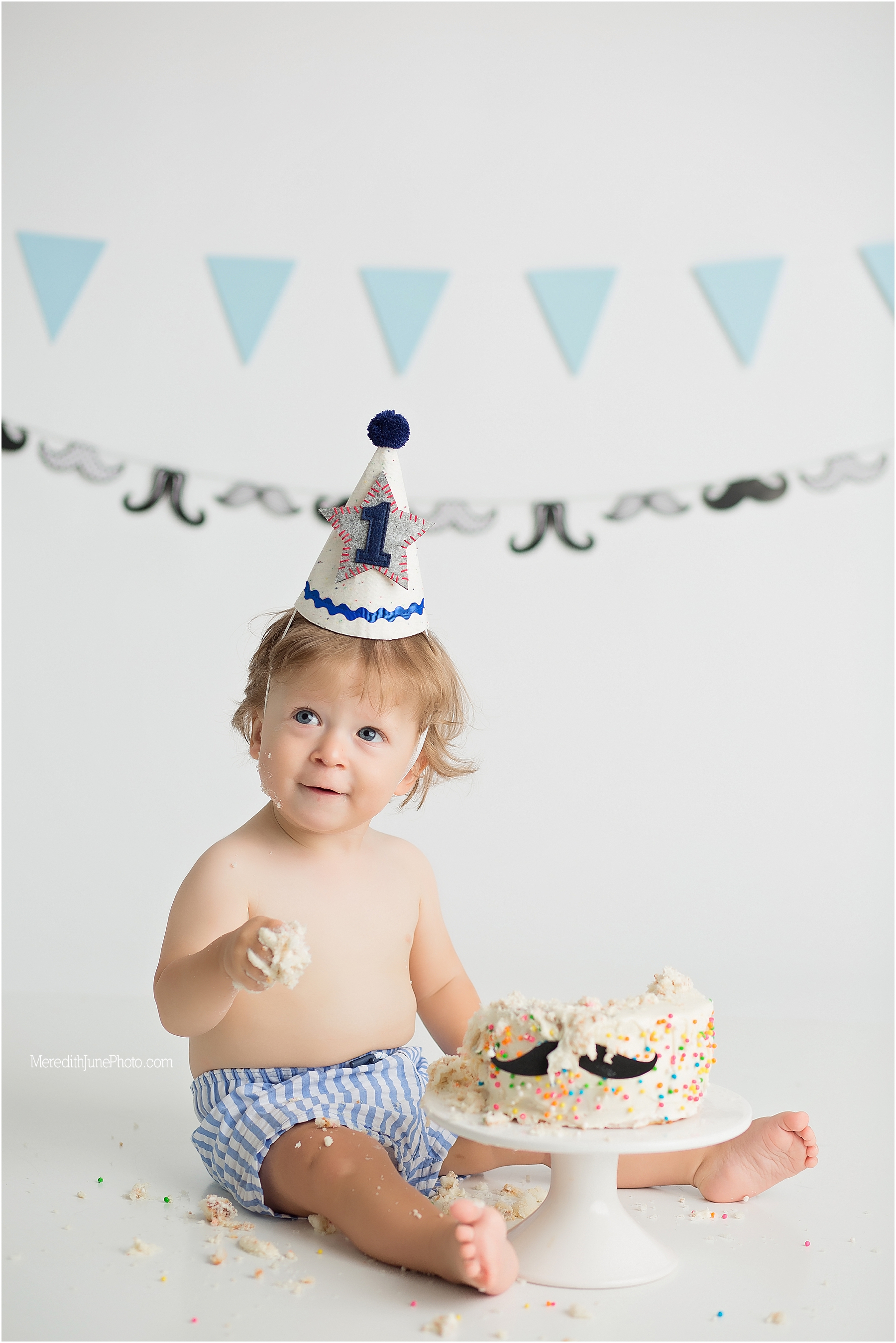 Alexander's first birthday at Meredith June Photography