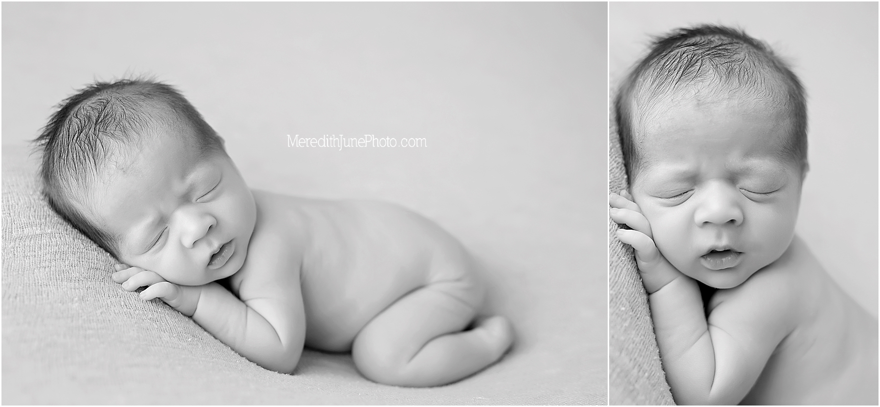 newborn baby portraits 