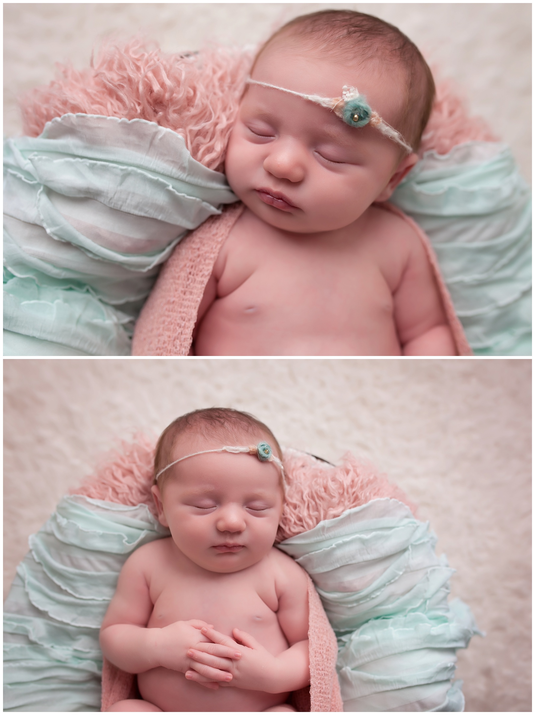 newborn photography charlotte