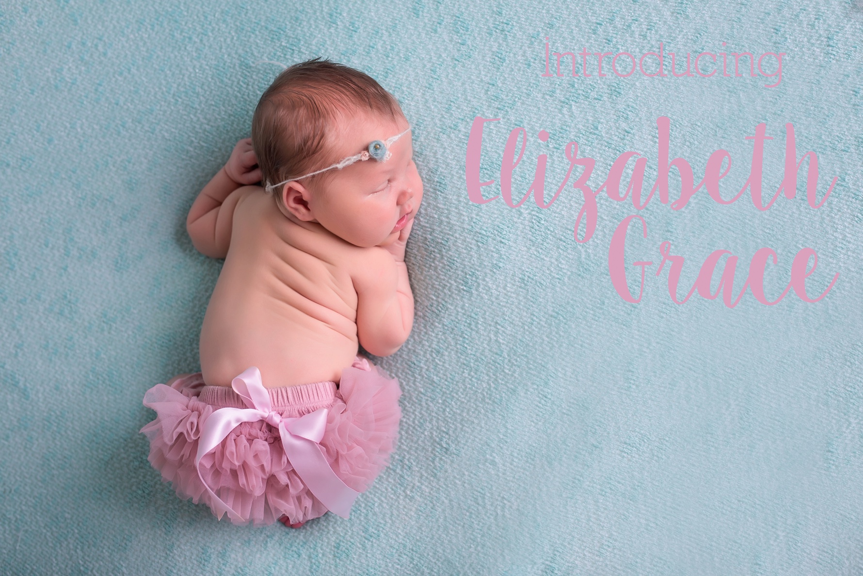 Concord NC Newborn baby Photographer