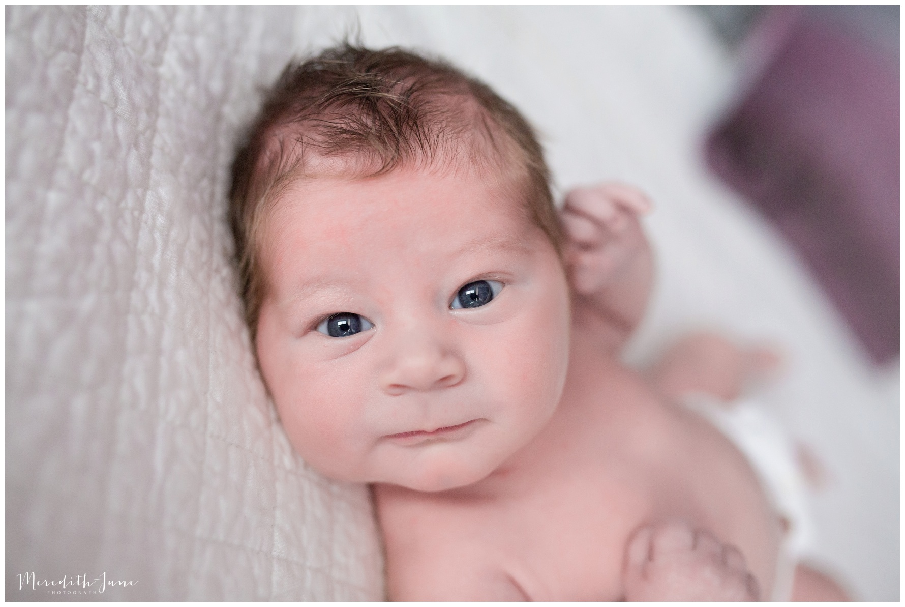 newborn lifestyle photographers in charlotte