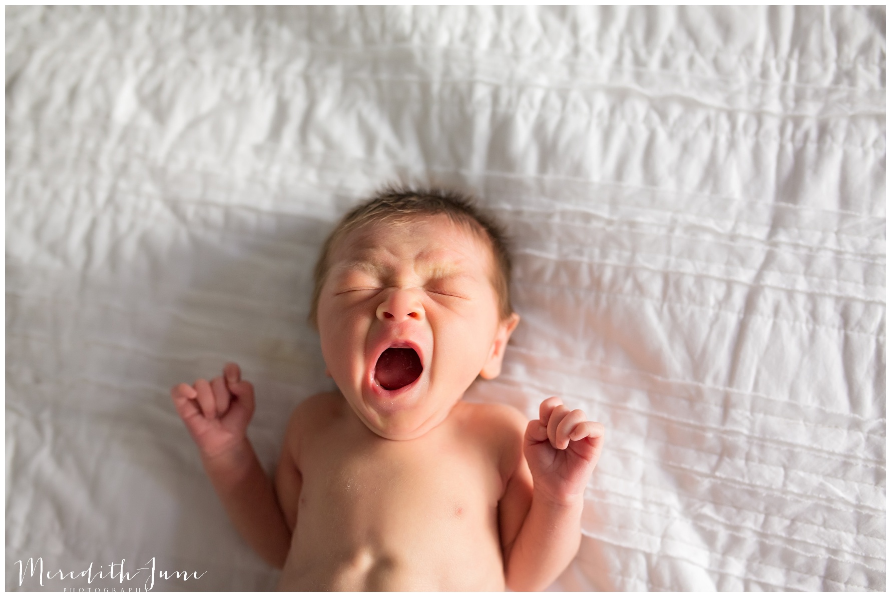 Charlotte-Newborn-Baby-Photographer_0252.jpg