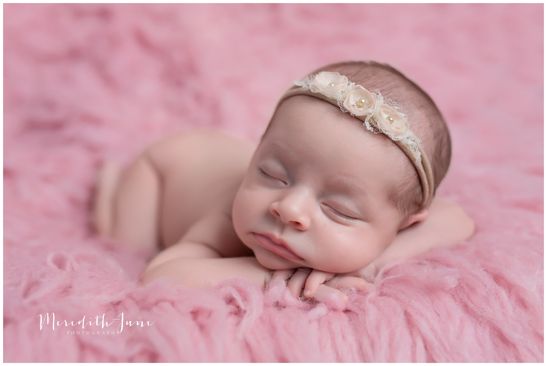 charlotte infant photography