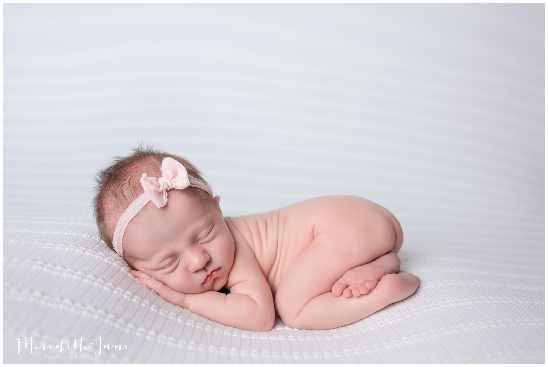 Charlotte infant photography