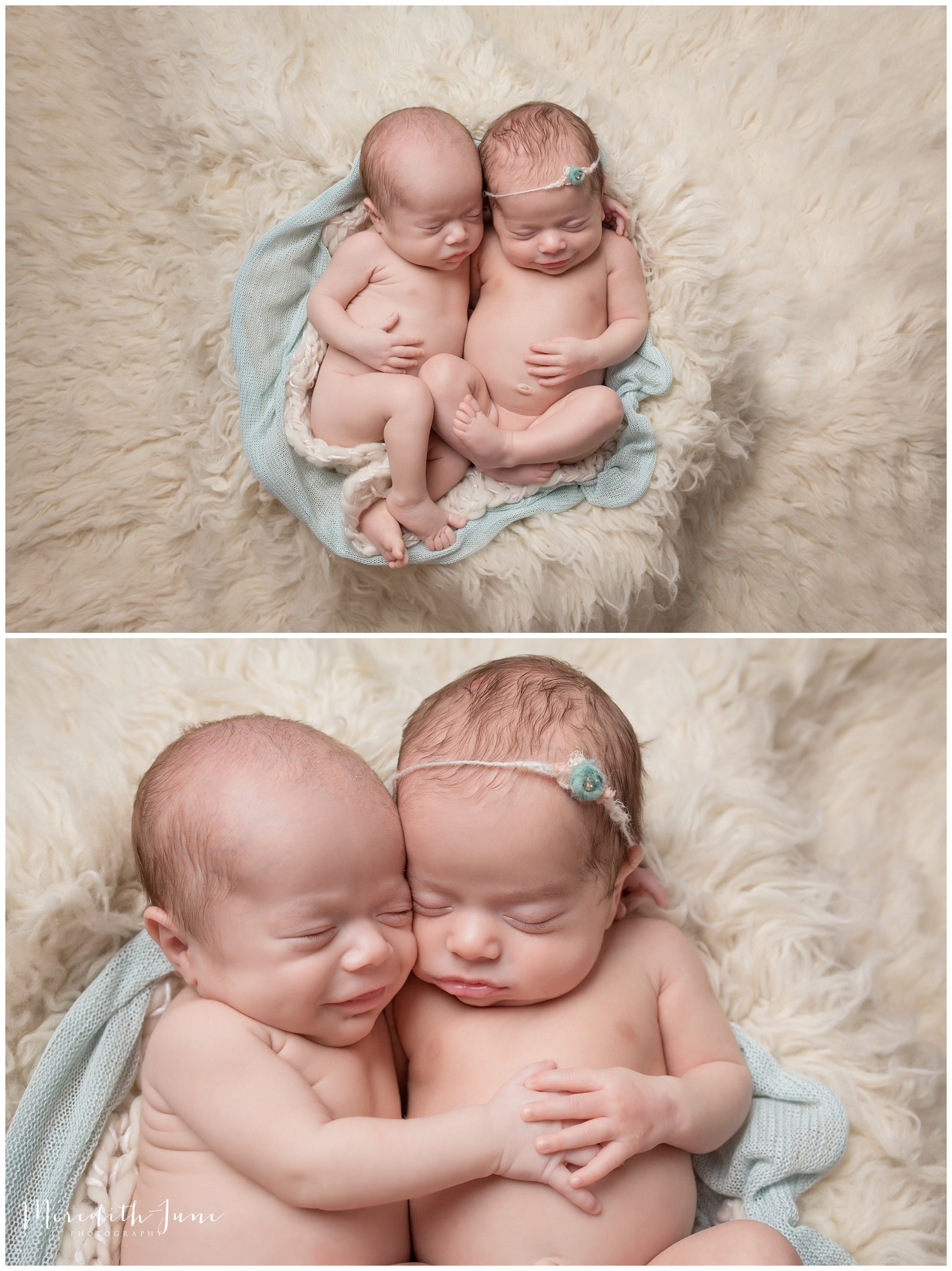 Charlotte-Newborn-twins-Baby-Photographer
