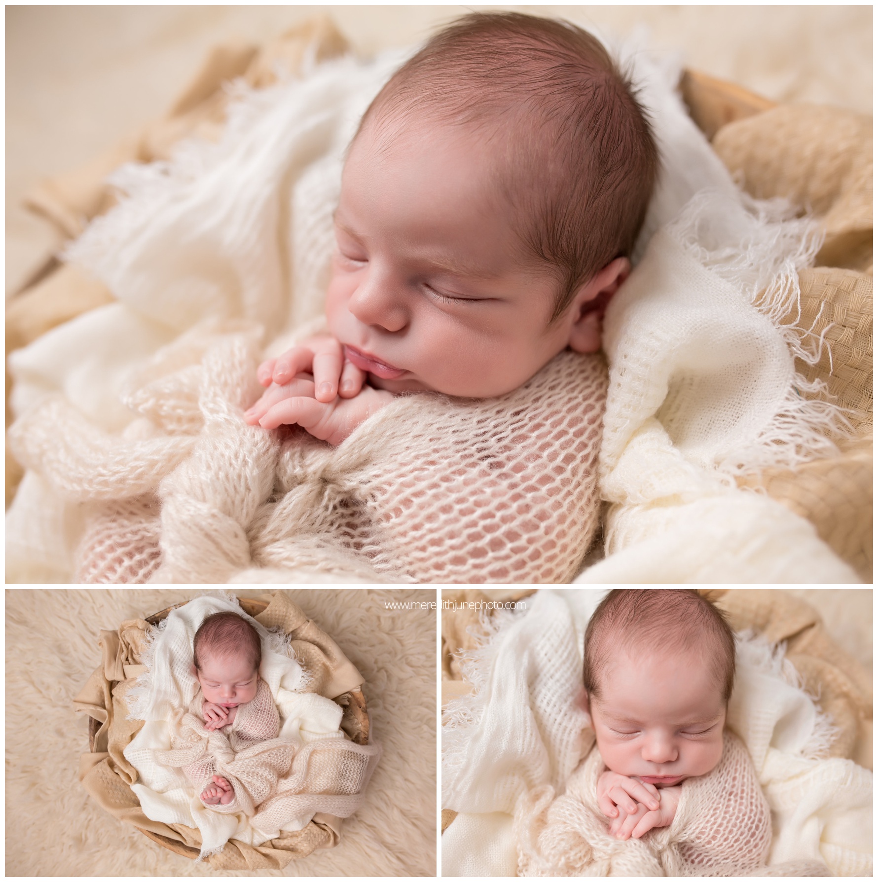 charlotte newborn pictures