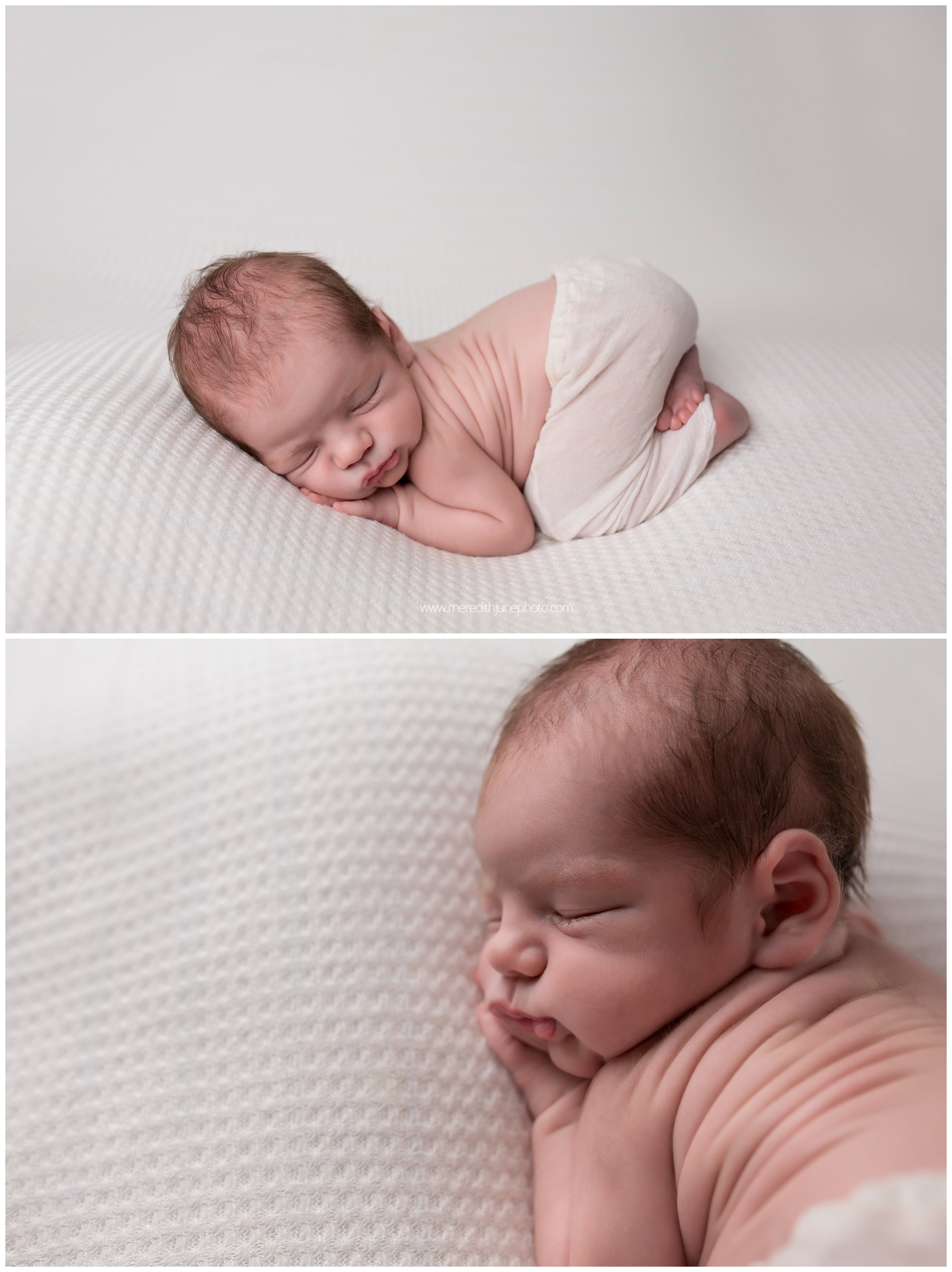 newborn baby photo session charlotte