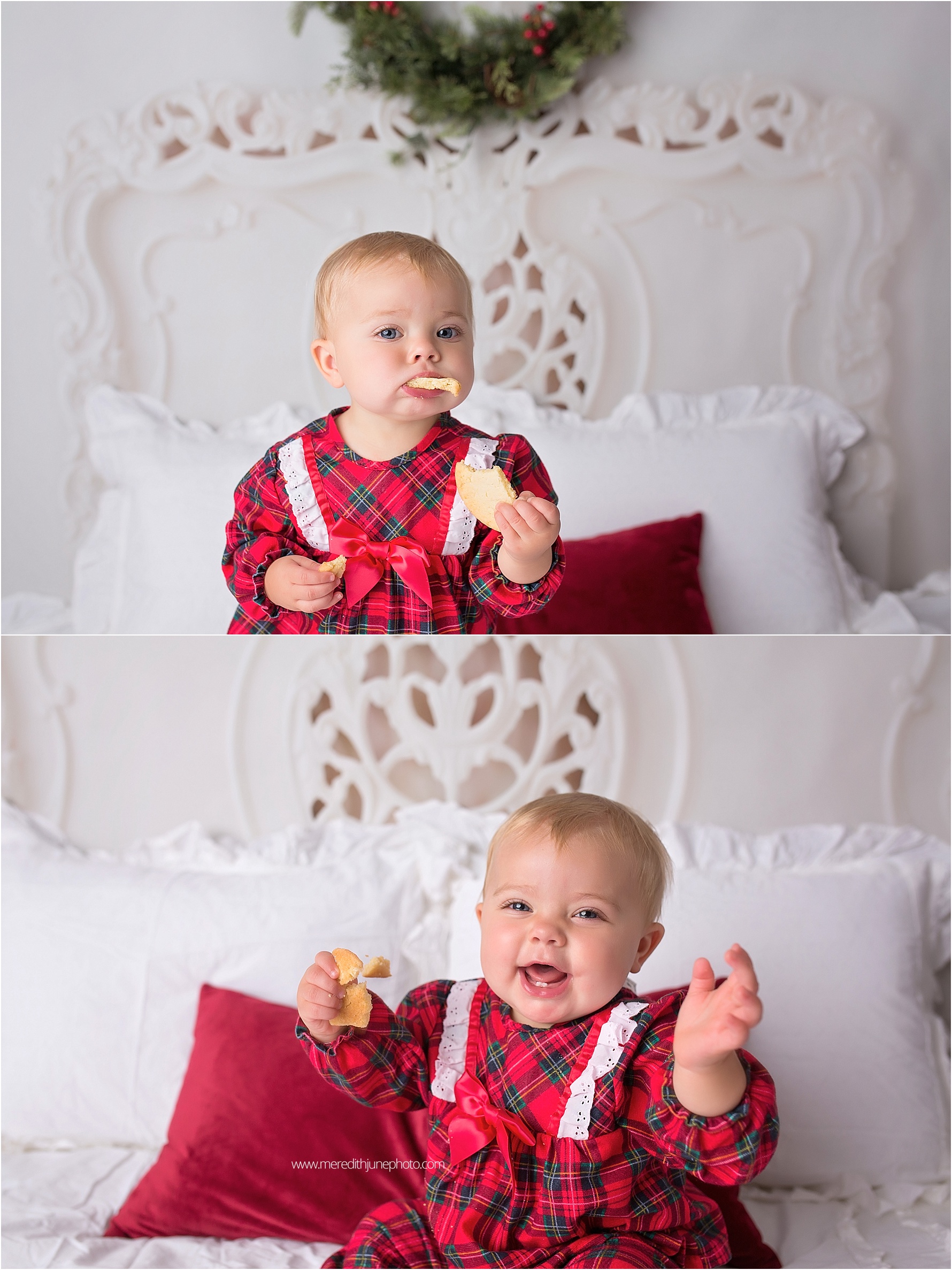 cookies and milk mini sessions