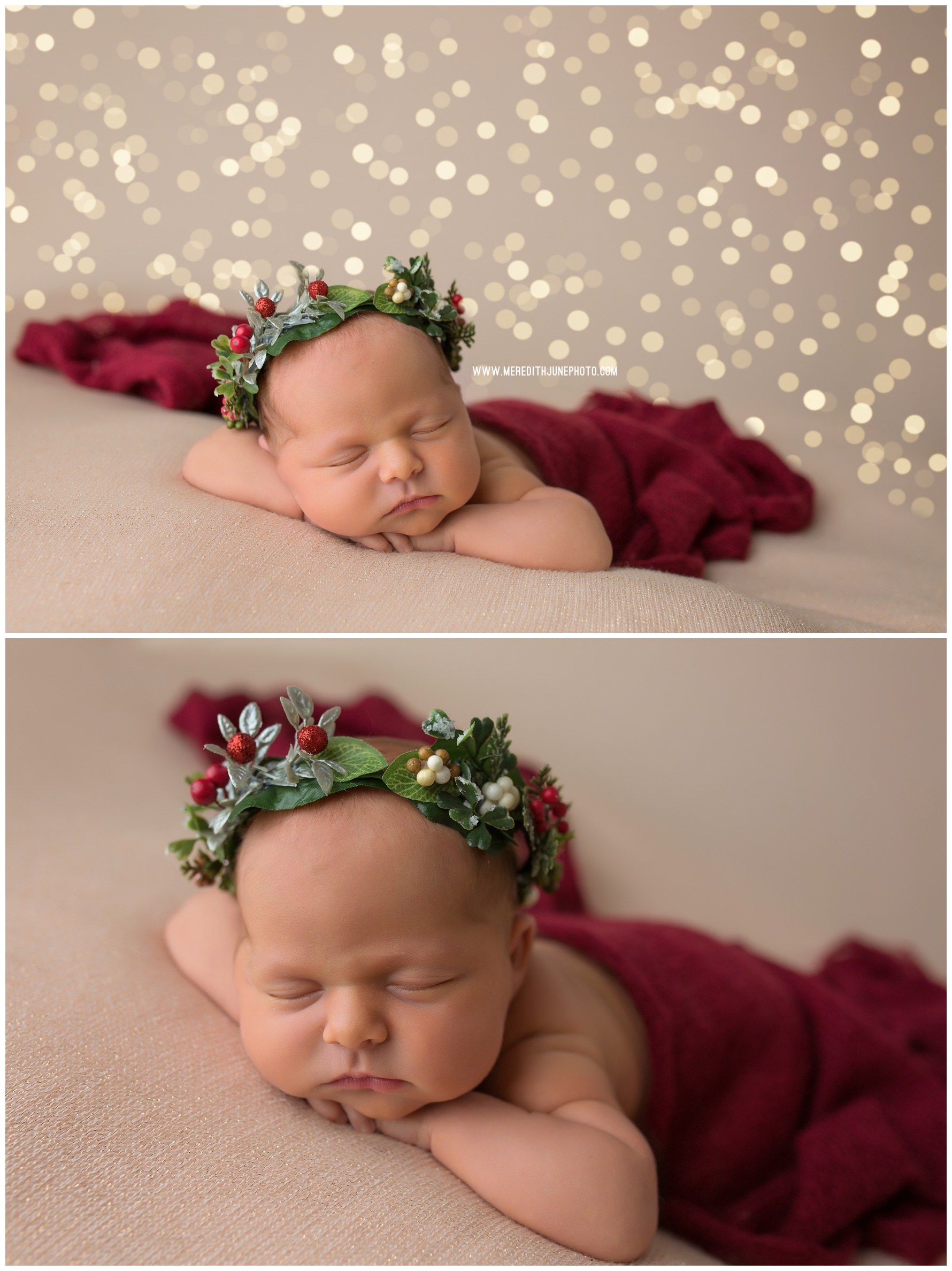 charlotte newborn baby photographers