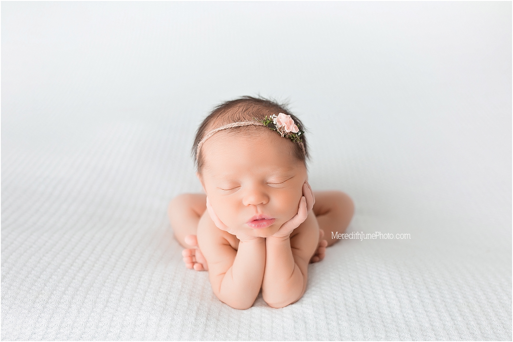 newborn photography in charlotte