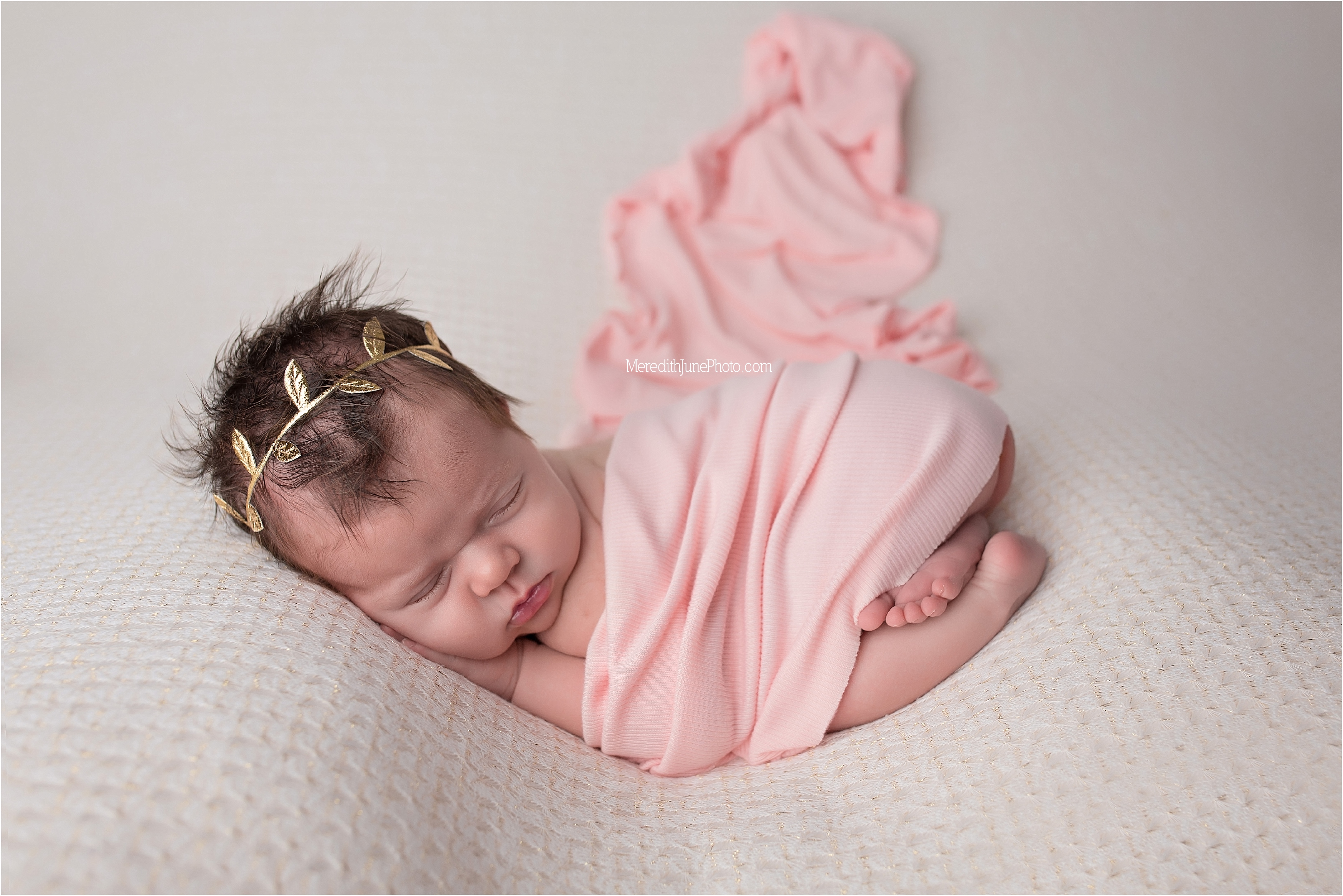 newborn baby girl | Charlotte baby pictures