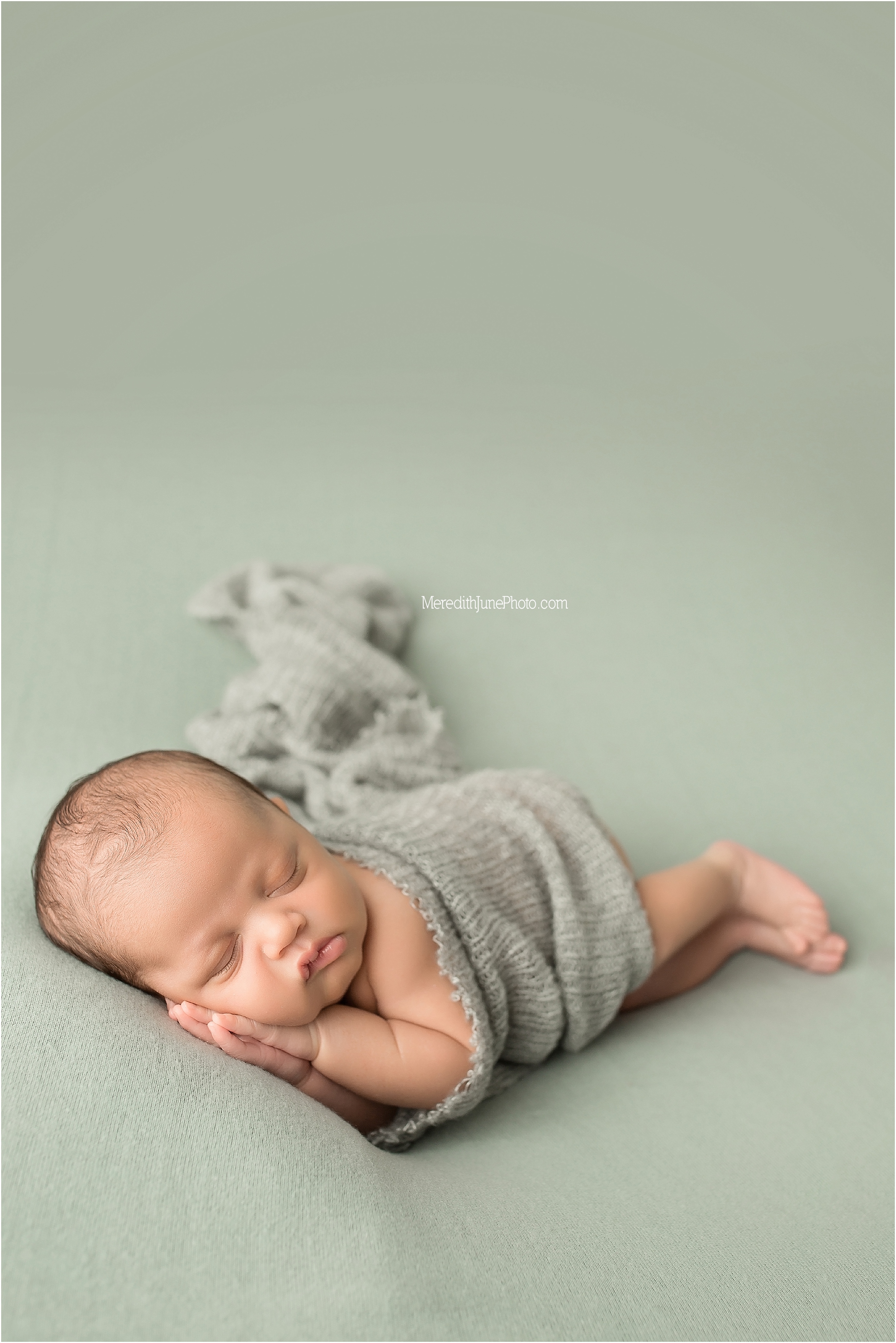 newborn photography in charlotte 