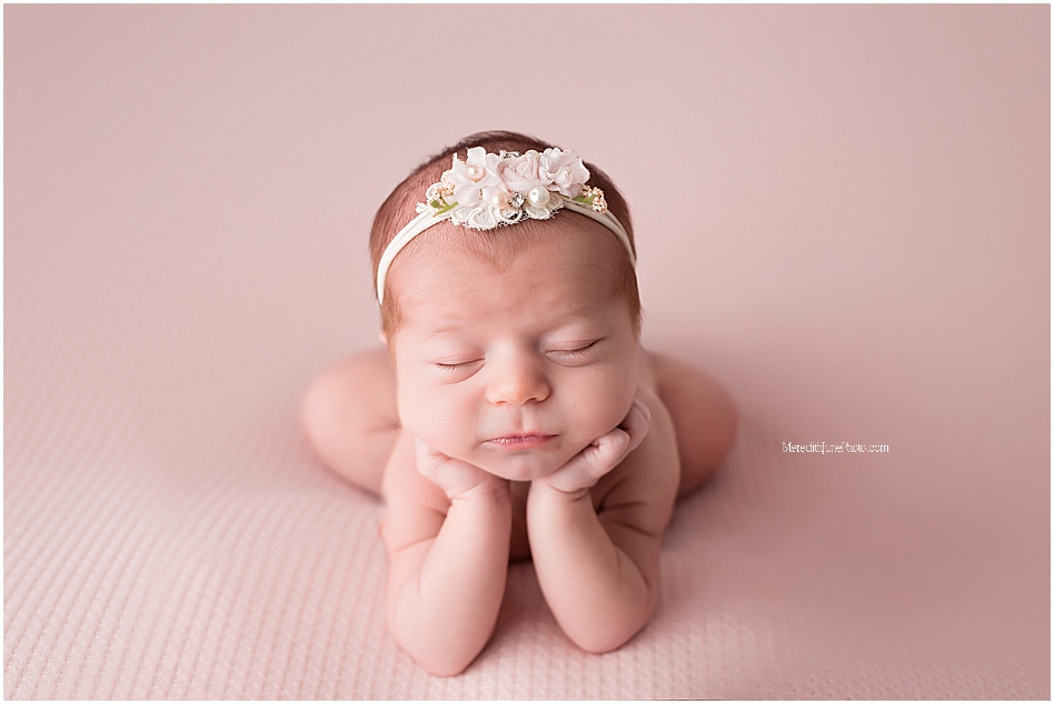 Charlotte newborn photographer 