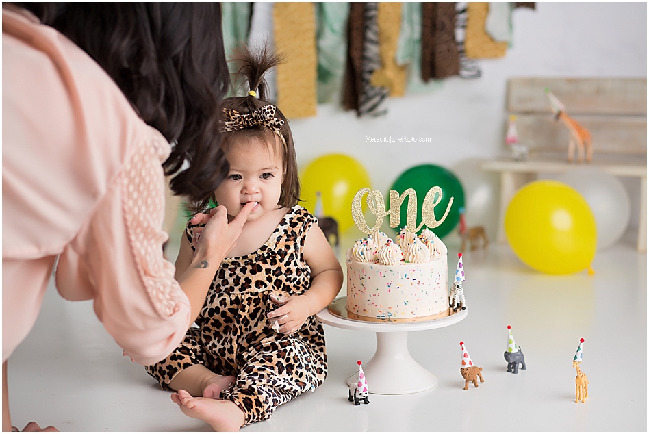baby girl cake smash theme ideas by Meredith June Photography 