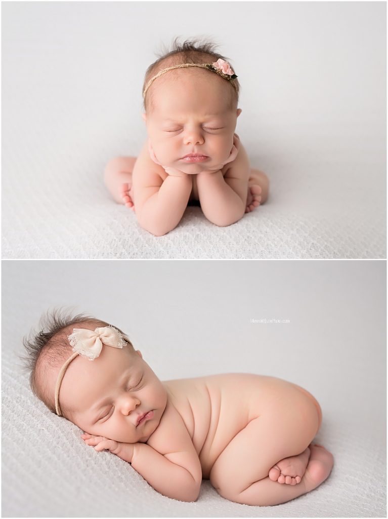 baby girl newborn portraits 