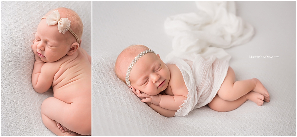 newborn portraits 