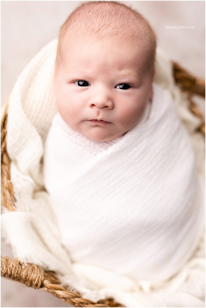 infant photographer in charlotte nc