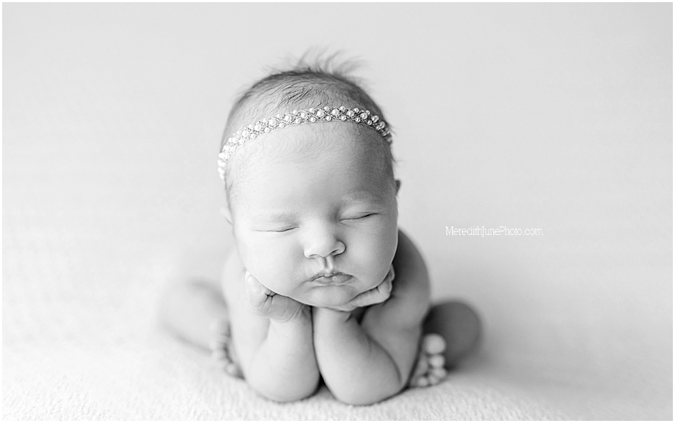 newborn mini session at meredith june photography in charlotte nc