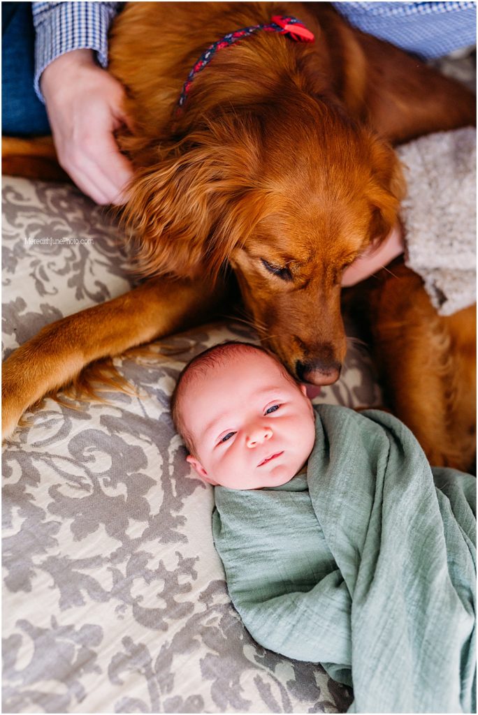 newborn and dog posing ideas by MJP