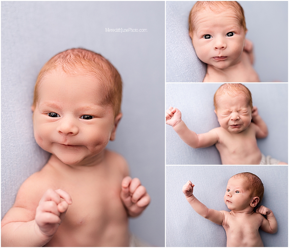 newborn baby boy portraits at meredith june photography studio in charlotte nc