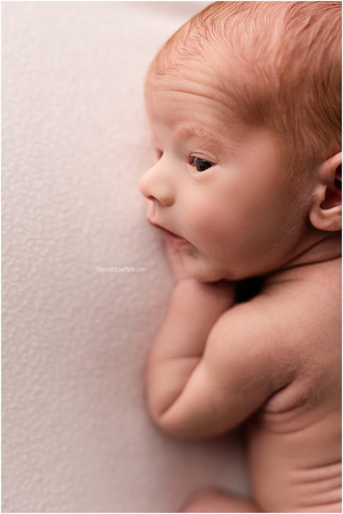 newborn baby boy studio photos at meredith june photography 