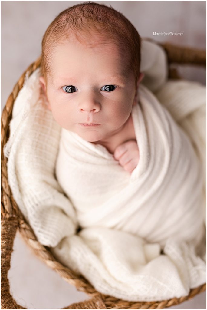 baby boy studio session at meredith june photography in greater charlotte area